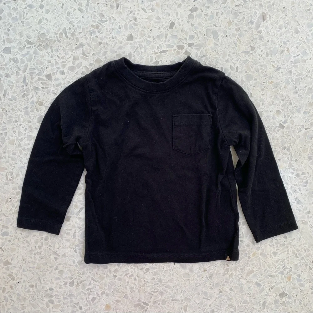 LOT of Baby Gap Brannan’s Favorites Long Sleeve Tee x 3, Size 2T
